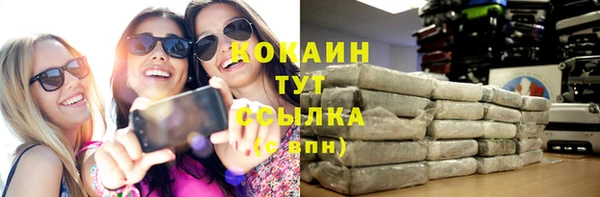амф Алексин