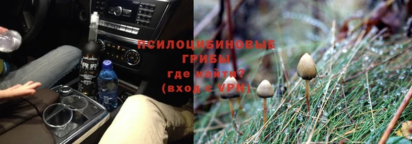 МДПВ Алексеевка
