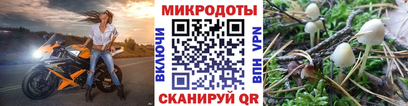 Галлюциногенные грибы мухоморы  Кудрово 