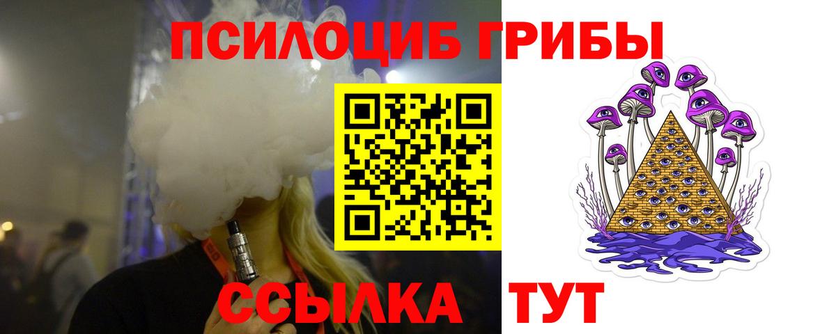 цены   Псилоцибиновые грибы Psilocybine cubensis  Вход с VPN  Кудрово 